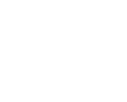 Virtex