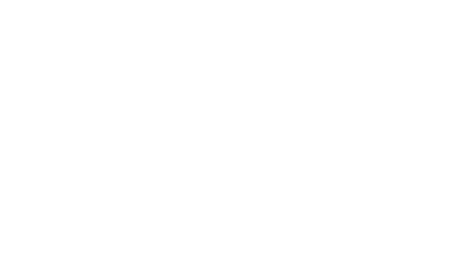 PrimeFlight