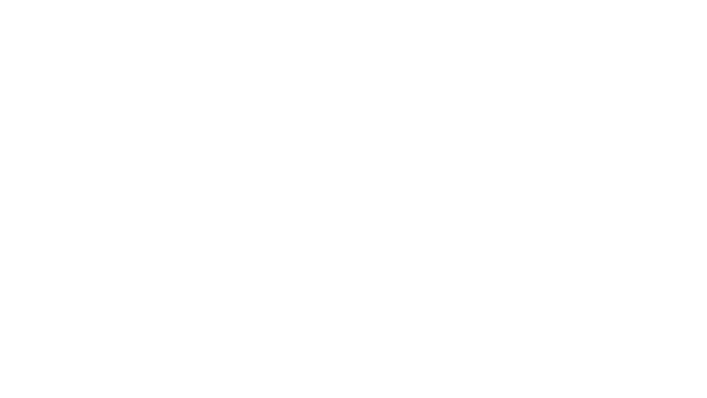 Partners In Performance (PIP)