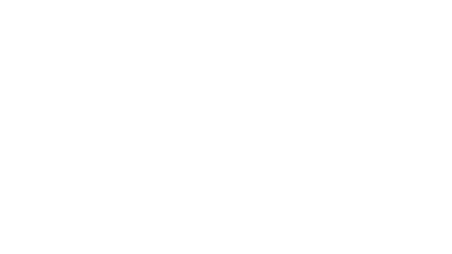 AIM Altitude