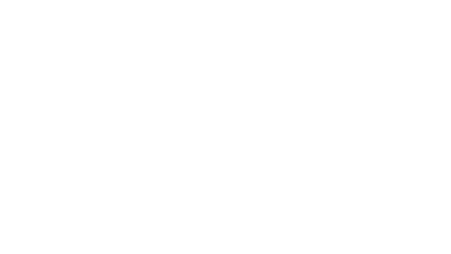 Car Outlet