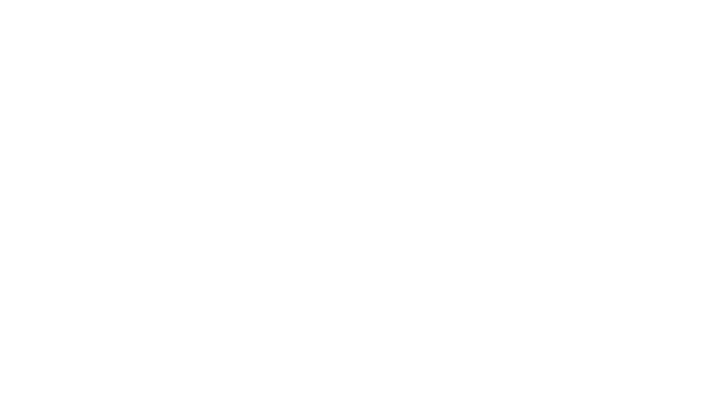 Performance Powersports Group