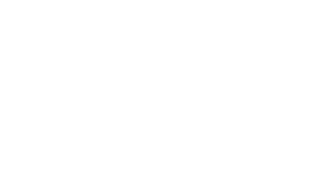 Nogin