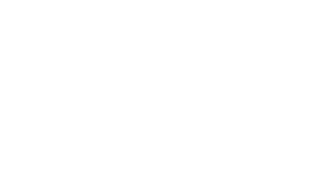 Sidewinder Drilling