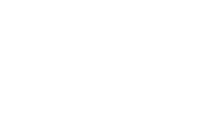 American Airlines