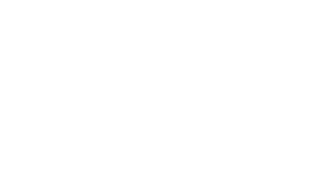 Digital Media Solutions