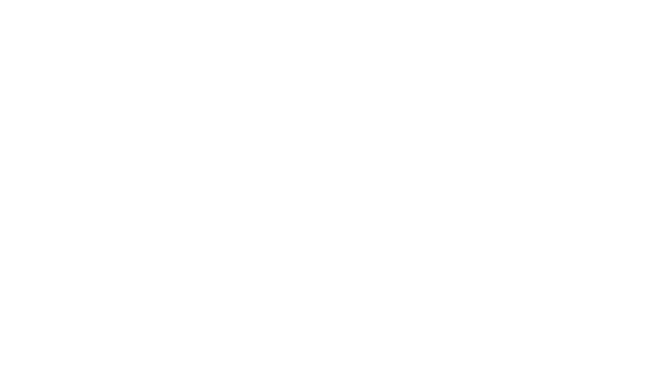 Digital River